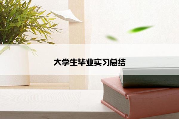 大学生毕业实习总结