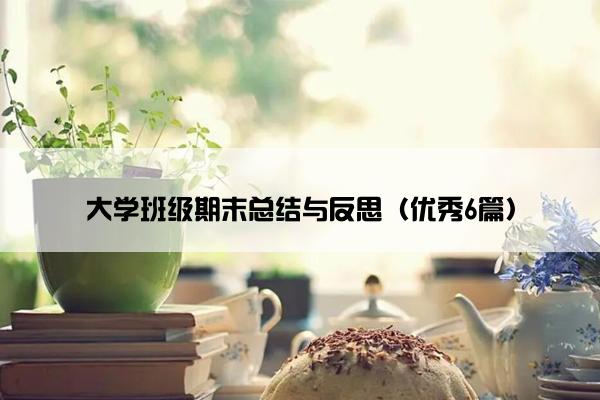 大学班级期末总结与反思（优秀6篇）