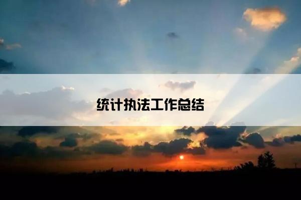 统计执法工作总结 统计执法工作总结