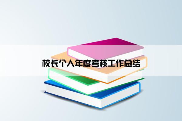 校长个人年度考核工作总结
