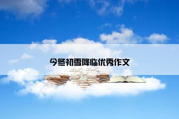 今冬初雪降临优秀作文