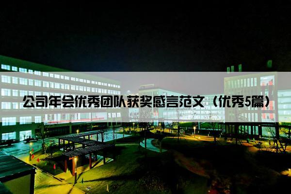 公司年会优秀团队获奖感言范文（优秀5篇）