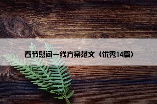 春节慰问一线方案范文（优秀14篇）