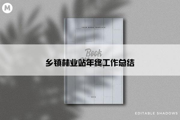 乡镇林业站年终工作总结