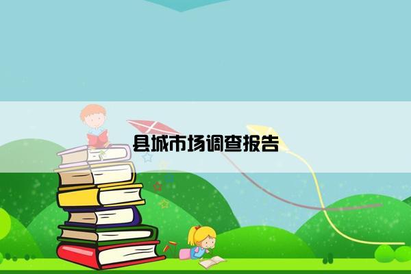 县城市场调查报告