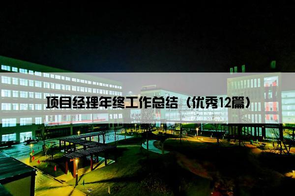 项目经理年终工作总结（优秀12篇）