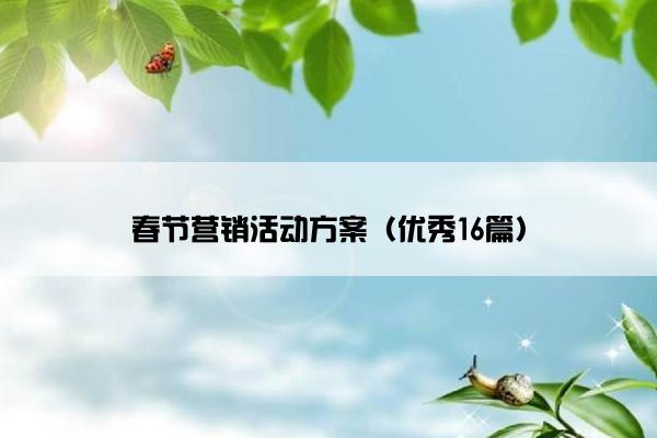 春节营销活动方案（优秀16篇）
