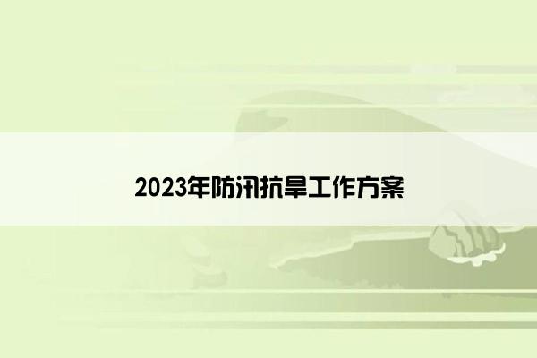 2023年防汛抗旱工作方案