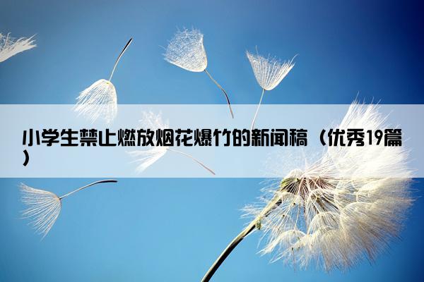 小学生禁止燃放烟花爆竹的新闻稿（优秀19篇）