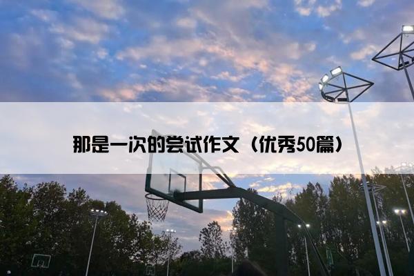 那是一次的尝试作文（优秀50篇）