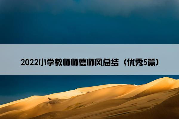 2022小学教师师德师风总结（优秀5篇）
