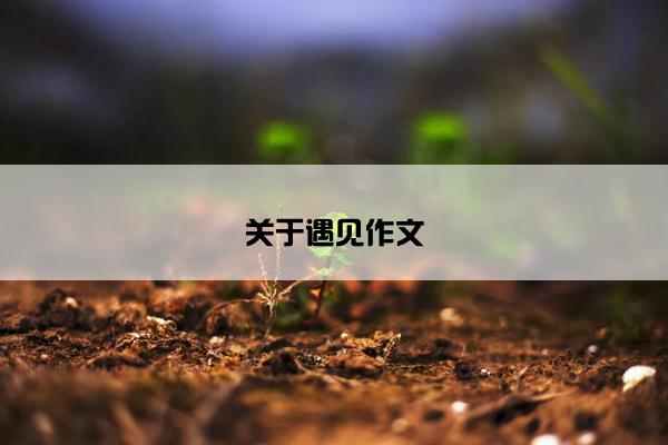 关于遇见作文