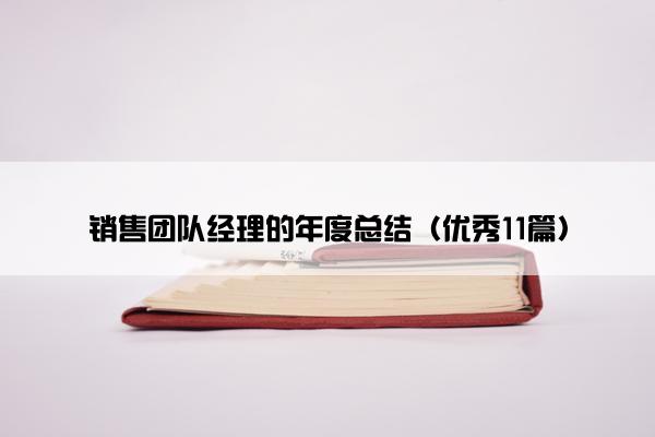 销售团队经理的年度总结（优秀11篇）