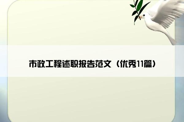 市政工程述职报告范文（优秀11篇）