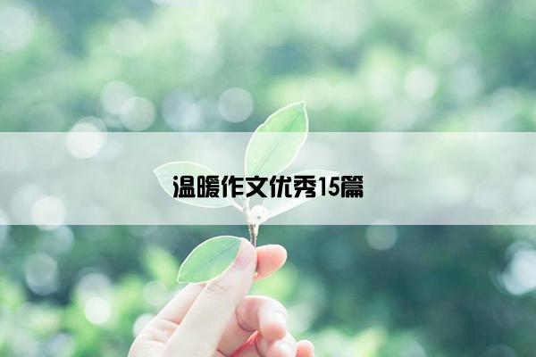 温暖作文优秀15篇