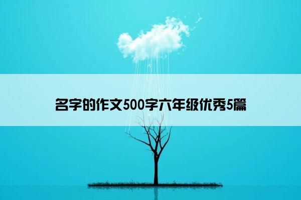 名字的作文500字六年级优秀5篇