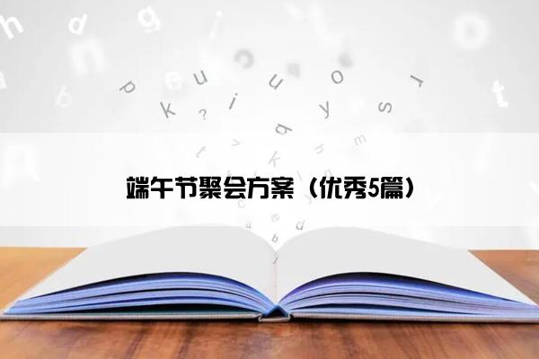 端午节聚会方案（优秀5篇）