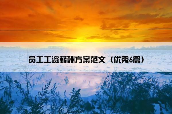 员工工资薪酬方案范文(优秀6篇) 员工工资薪酬方案范文(优秀6篇)