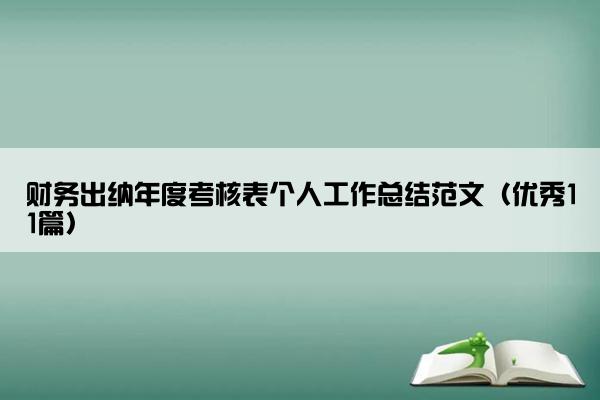 财务出纳年度考核表个人工作总结范文（优秀11篇）