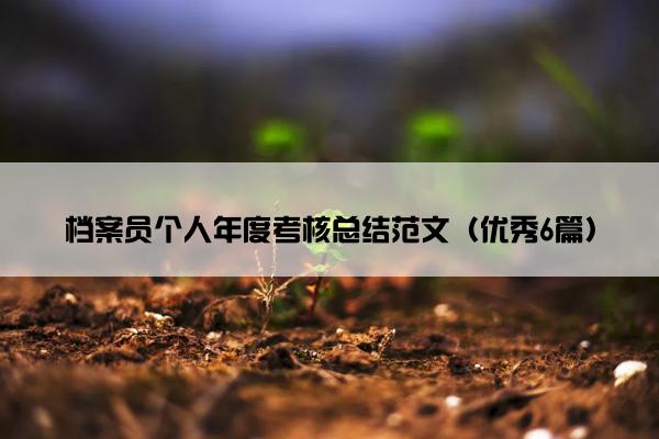 档案员个人年度考核总结范文（优秀6篇）