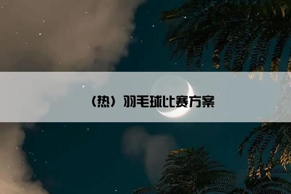 （热）羽毛球比赛方案
