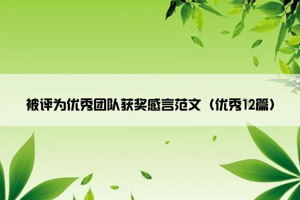 被评为优秀团队获奖感言范文（优秀12篇）