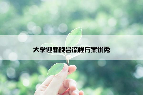 大学迎新晚会流程方案优秀