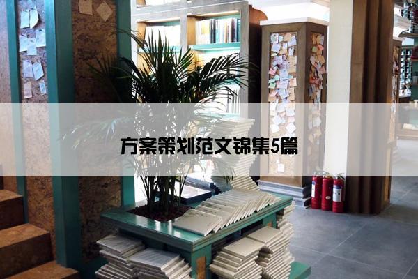 方案策划范文锦集5篇