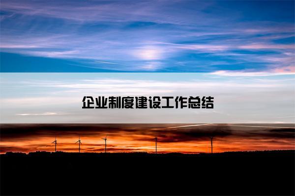 企业制度建设工作总结