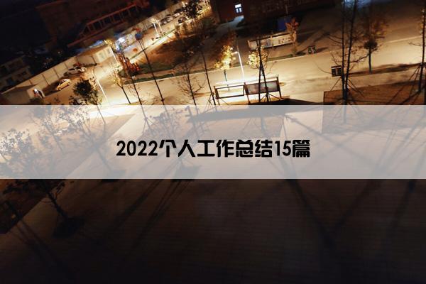 2022个人工作总结15篇