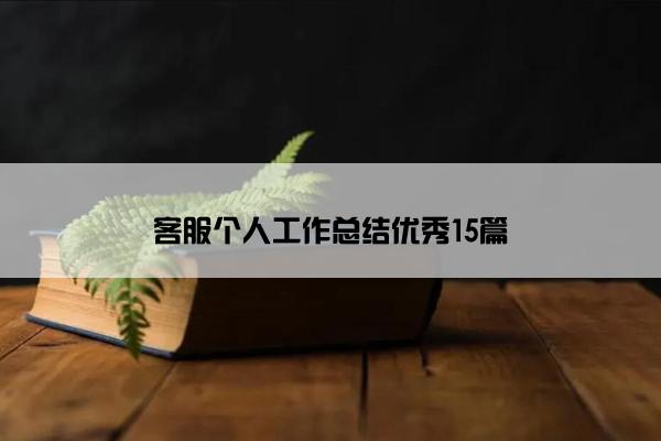 客服个人工作总结优秀15篇