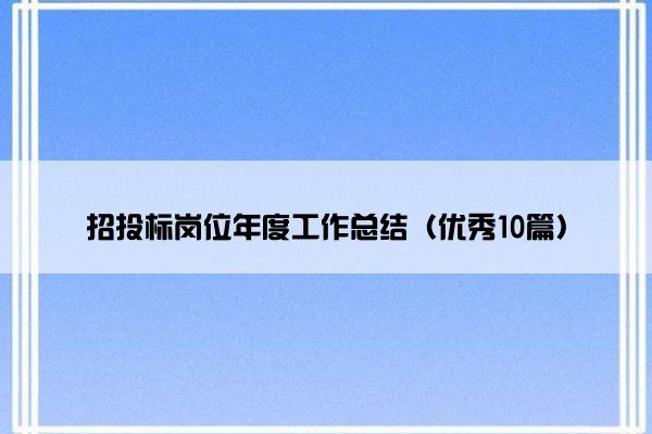 招投标岗位年度工作总结（优秀10篇）