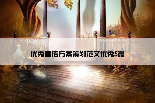 优秀宣传方案策划范文优秀5篇