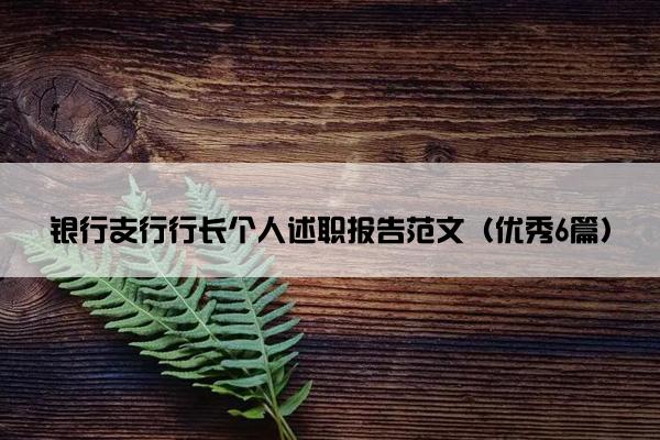 银行支行行长个人述职报告范文（优秀6篇）