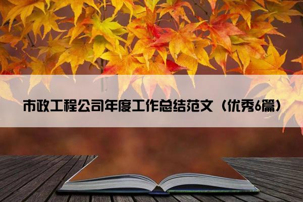 市政工程公司年度工作总结范文（优秀6篇）