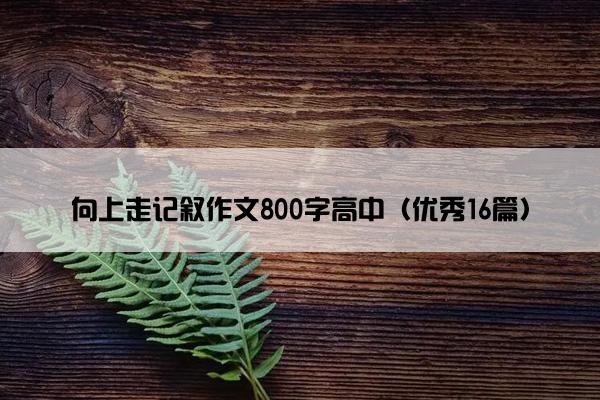 向上走记叙作文800字高中(优秀16篇) 向上走记叙作文800字高中(优秀16篇)