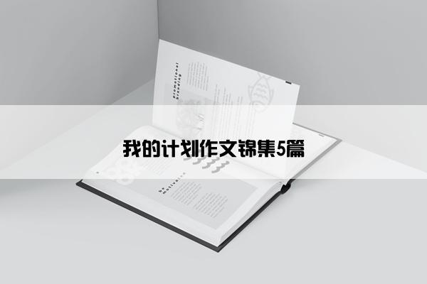 我的计划作文锦集5篇