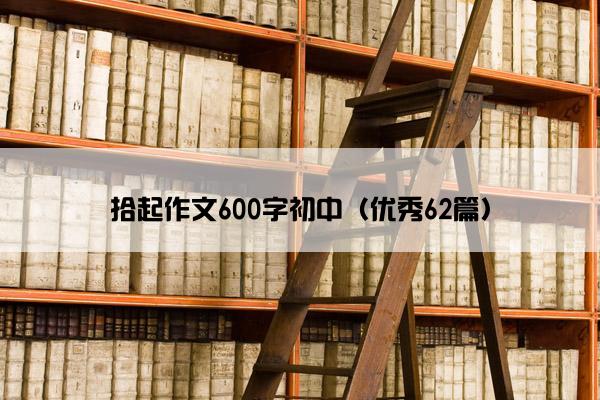 拾起作文600字初中（优秀62篇）