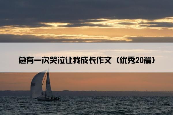 总有一次哭泣让我成长作文（优秀20篇）