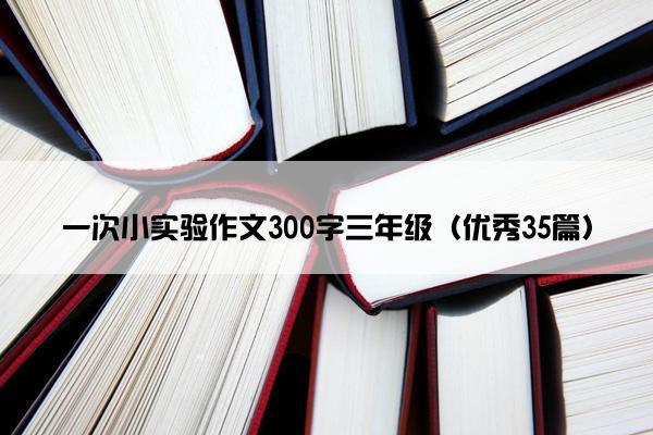 一次小实验作文300字三年级（优秀35篇）