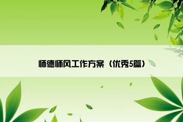 师德师风工作方案（优秀5篇）
