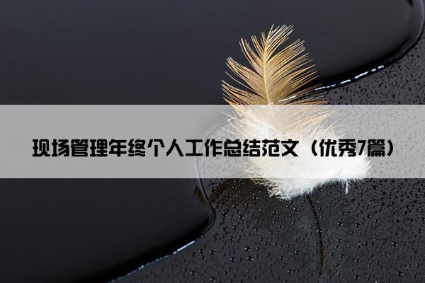 现场管理年终个人工作总结范文（优秀7篇）