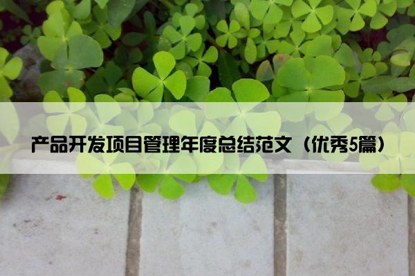 产品开发项目管理年度总结范文（优秀5篇）