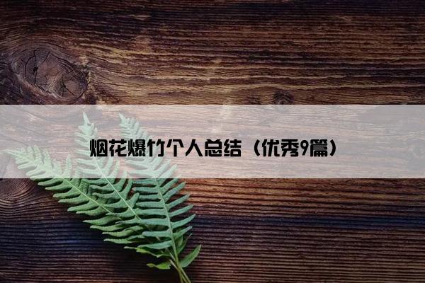 烟花爆竹个人总结（优秀9篇）