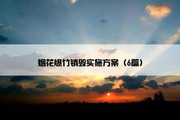 烟花爆竹销毁实施方案（6篇）