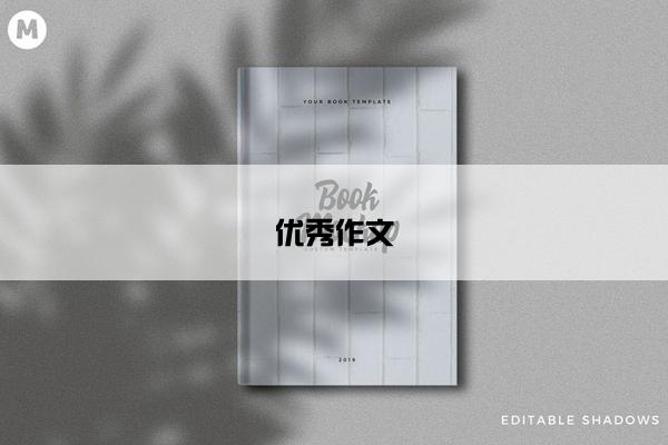 优秀作文
