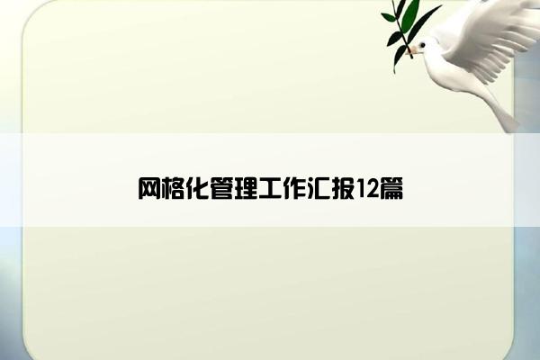 网格化管理工作汇报12篇