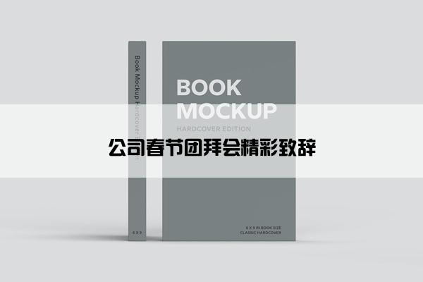 公司春节团拜会精彩致辞