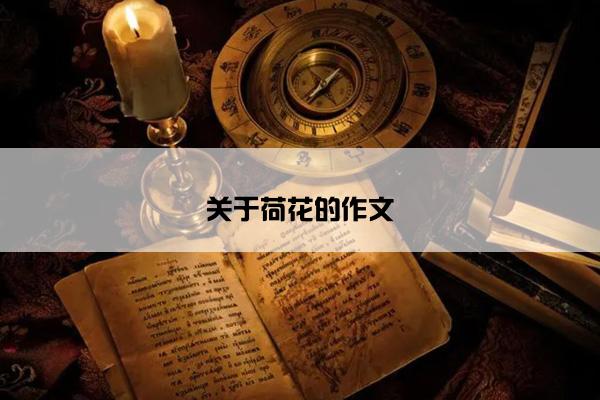 关于荷花的作文