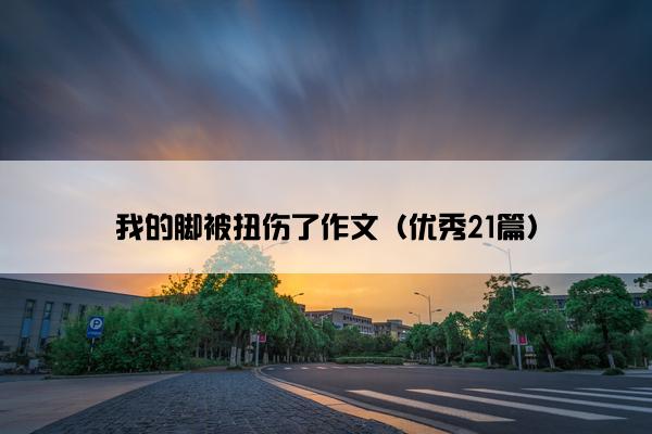 我的脚被扭伤了作文（优秀21篇）